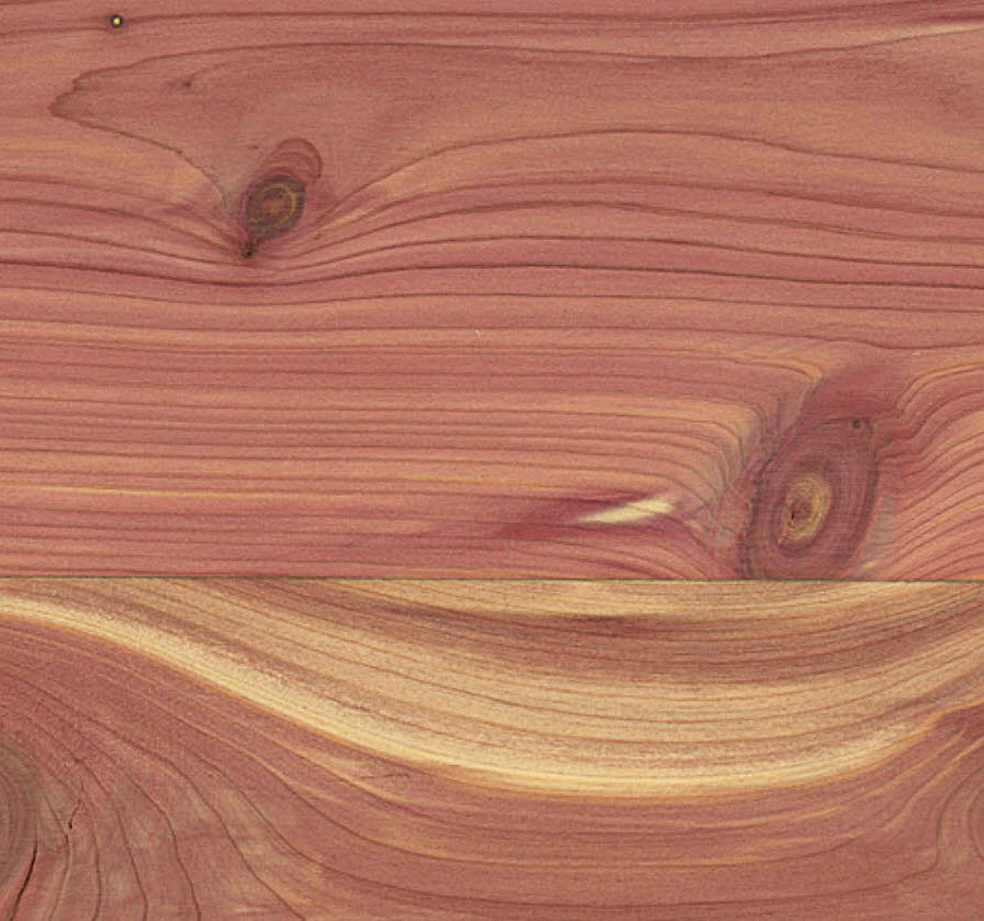 Aromatic Cedar